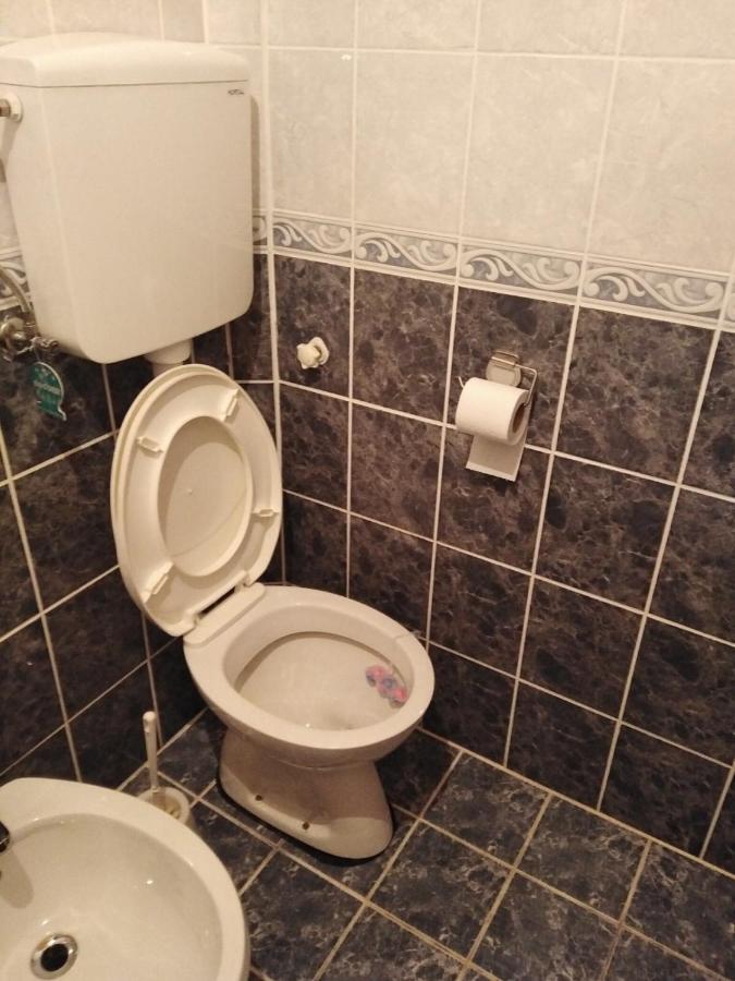 Divčibare Apartmani Milojevic מראה חיצוני תמונה